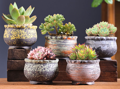 small ceramic plant pots